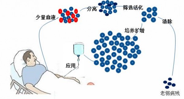 免疫細胞技術